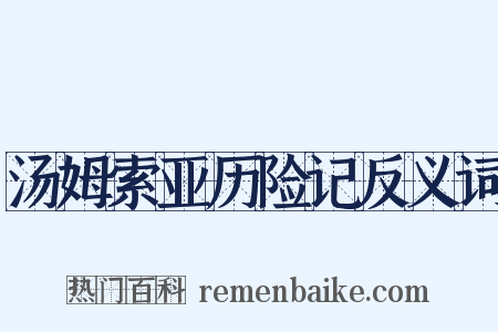 汤姆索亚历险记反义词是什么意思的图片
